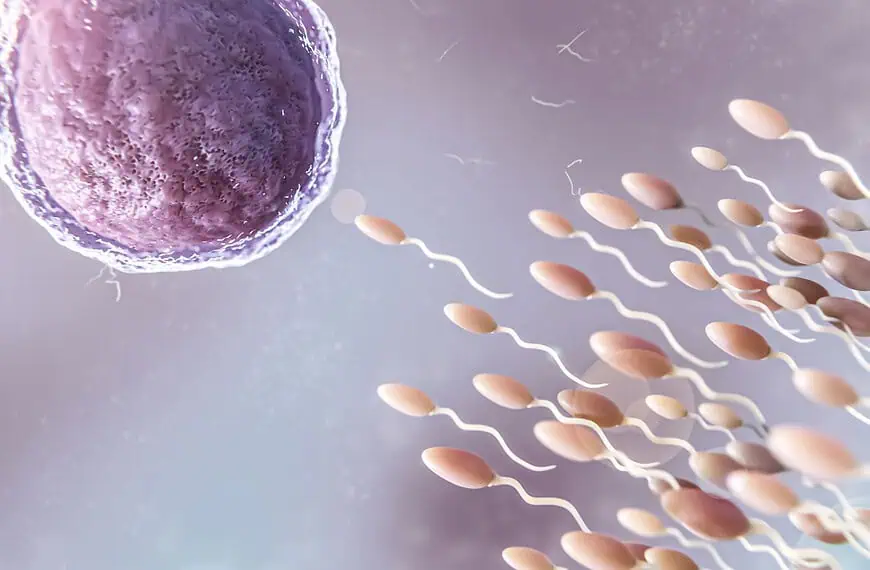 Dlaczego badanie nasienia jest istotnym krokiem w diagnostyce&hellip;
