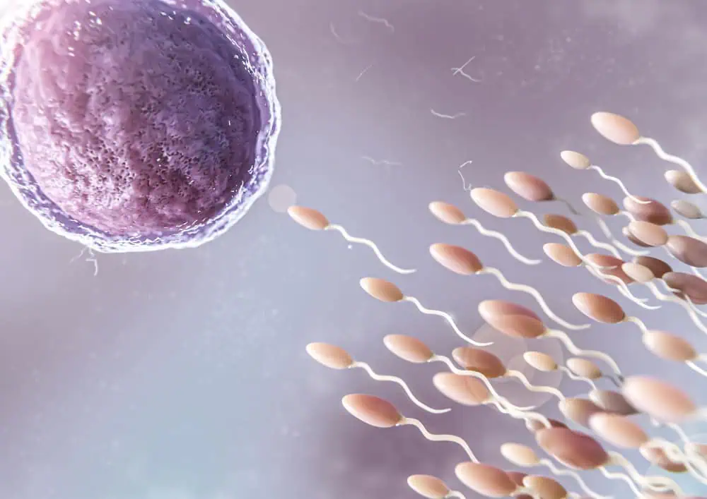 Dlaczego badanie nasienia jest istotnym krokiem w diagnostyce niepłodności u mężczyzn?